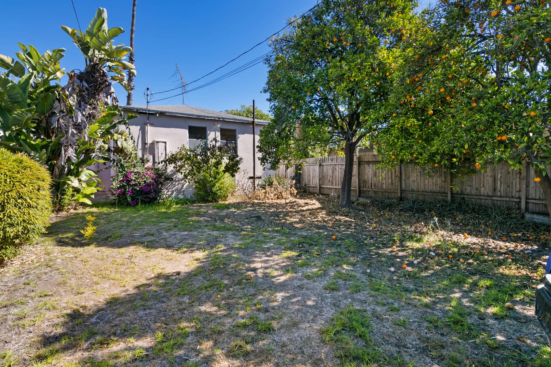 listings