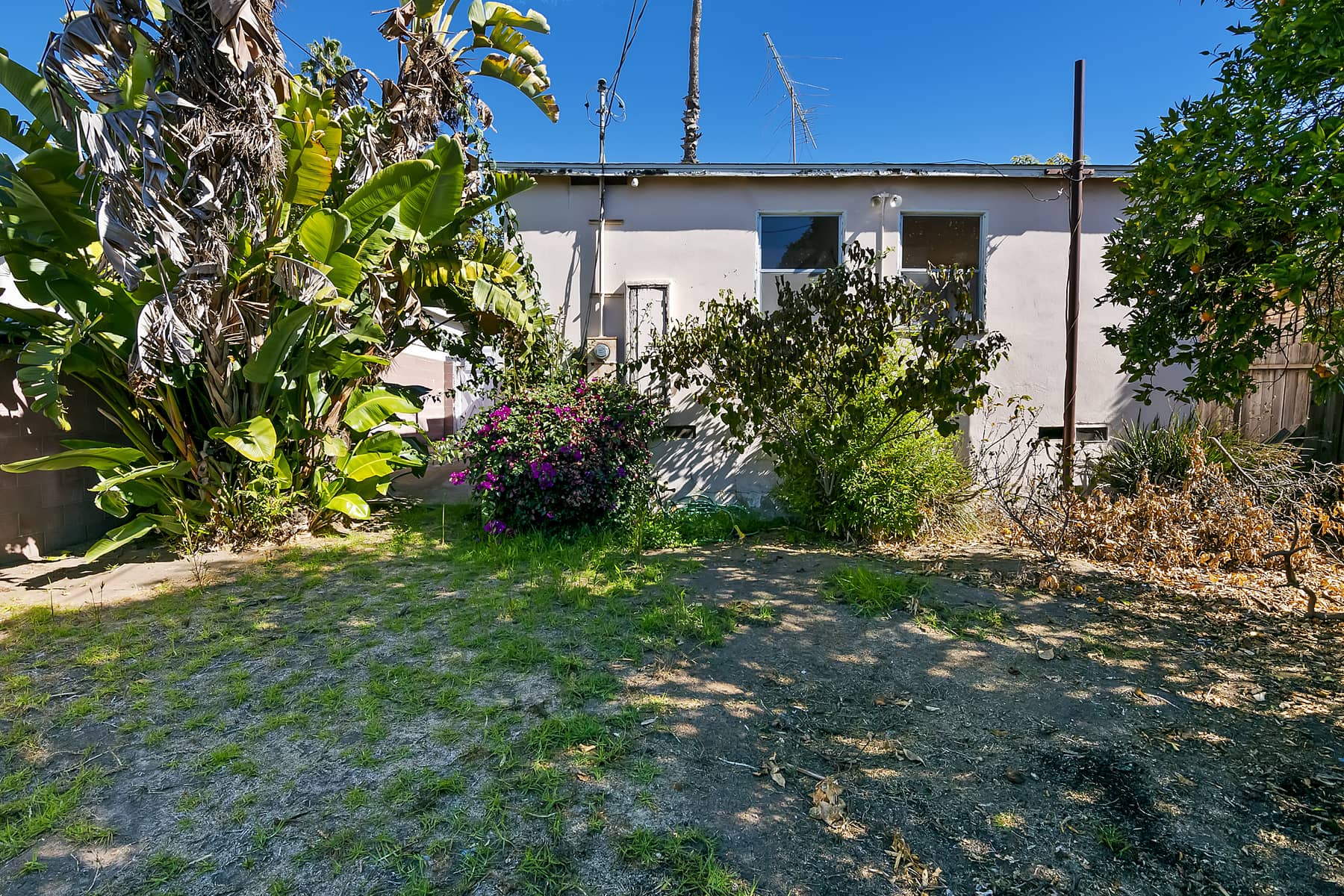 listings